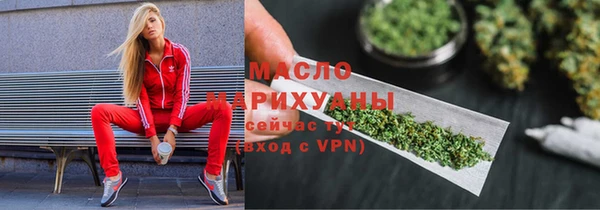 индика Переславль-Залесский