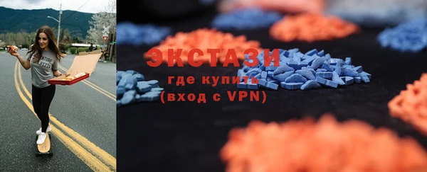 индика Переславль-Залесский