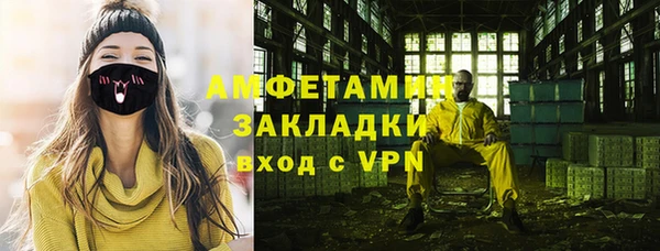 индика Переславль-Залесский