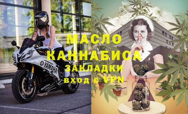 индика Переславль-Залесский