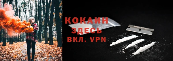 молекула духа Абинск