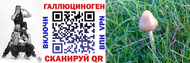 Псилоцибиновые грибы Cubensis  Урень 